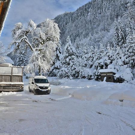 Appartement 6 Pers 70 M² Dans Chalet Chez Marie Montriond Luaran gambar