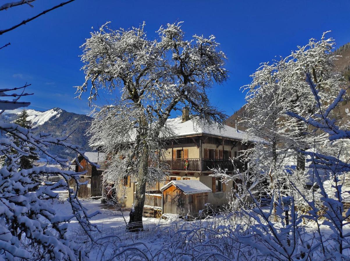 Appartement 6 Pers 70 M² Dans Chalet Chez Marie Montriond Luaran gambar